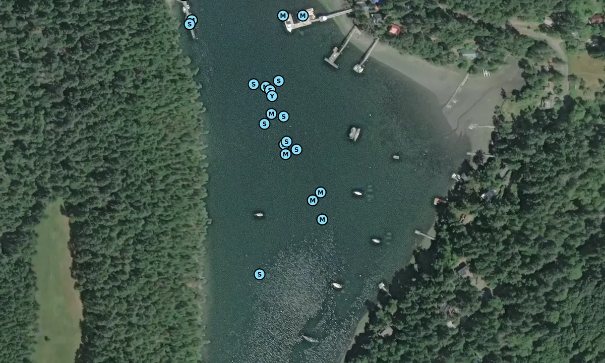 Satelite image of Boot Cove