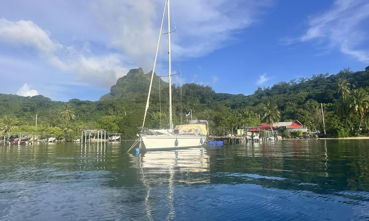 Bora Bora - Bora-Bora: {"base": "no", "no": "Sett inn mot land", "se": "St\u00e4ll in mot land", "en": "Set course towards land", "da": "S\u00e6t ind mod land", "fr": "Approchez vers la terre", "de": "Steuern Sie in Richtung Land", "es": "Partida hacia la costa", "it": "Dirigiti verso terra", "pt": "Prepare-se para a atraca\u00e7\u00e3o", "nl": "Zet koers naar de kust", "pl": "Wejd\u017a na l\u0105d", "uk": "\u0417\u0430\u0439\u0442\u0438 \u0432 \u043d\u0430\u043f\u0440\u044f\u043c\u043a\u0443 \u0434\u043e \u0431\u0435\u0440\u0435\u0433\u0430", "ro": "Dirija\u021bi-v\u0103 spre \u021b\u0103rm", "tr": "K\u0131y\u0131ya do\u011fru girin", "el": "\u03a0\u03bb\u03ad\u03b5\u03c4\u03b5 \u03c0\u03c1\u03bf\u03c2 \u03c4\u03b7\u03bd \u03b1\u03ba\u03c4\u03ae", "cs": "Vplujte sm\u011brem k pevnin\u011b", "hu": "Forduljon be a sz\u00e1razf\u00f6ld fel\u00e9", "fi": "Suuntakaa kohti maata", "bg": "\u041f\u043e\u0441\u0442\u0430\u0432\u0435\u0442\u0435 \u043a\u044a\u043c \u0431\u0440\u0435\u0433\u0430", "sr": "U\u0111ite prema kopnu", "et": "Sisene maale", "lv": "Iedzi\u013cin\u0101ties zem\u0113", "lt": "Pasukite link kranto"}