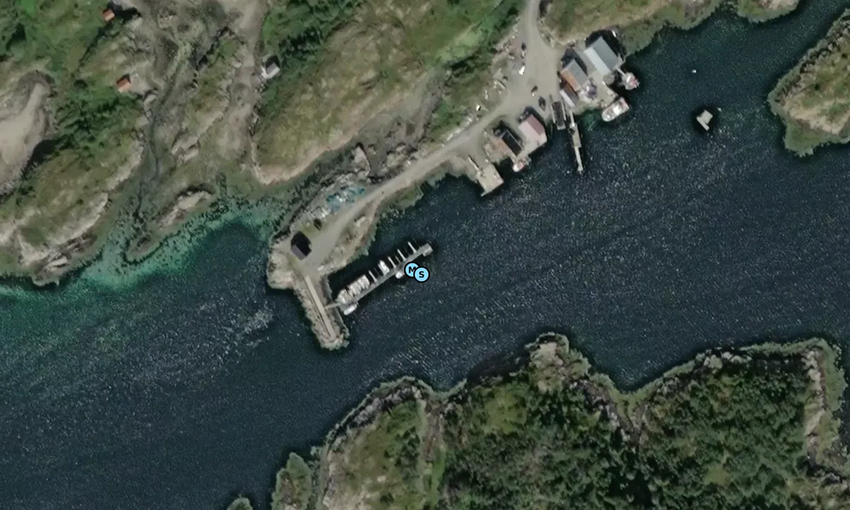 Satelite image of Borgan