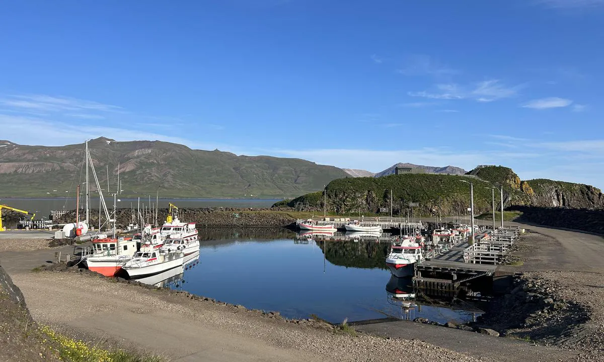 Borgarfjardarhöfn