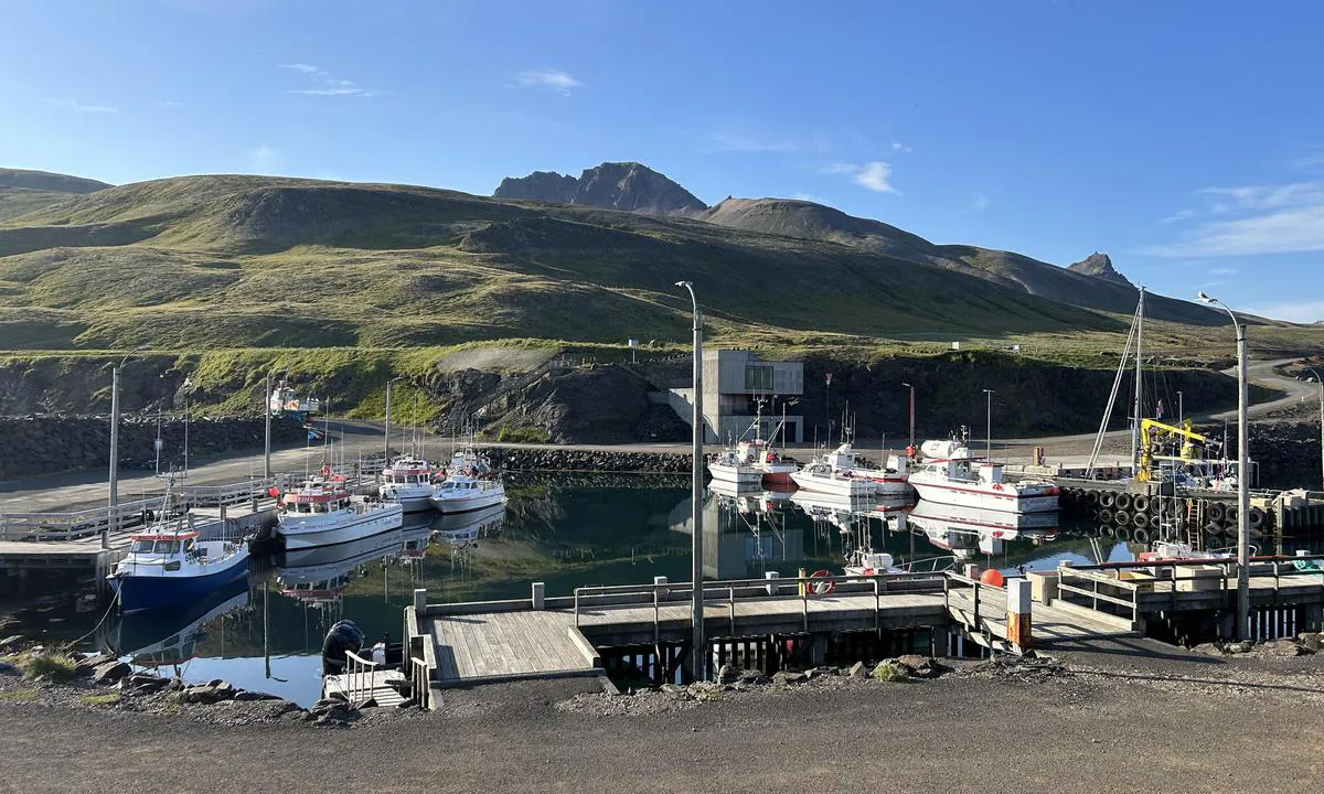 Borgarfjardarhöfn