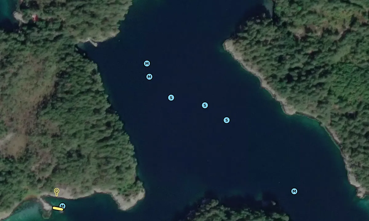 Satelite image of Borgundøy