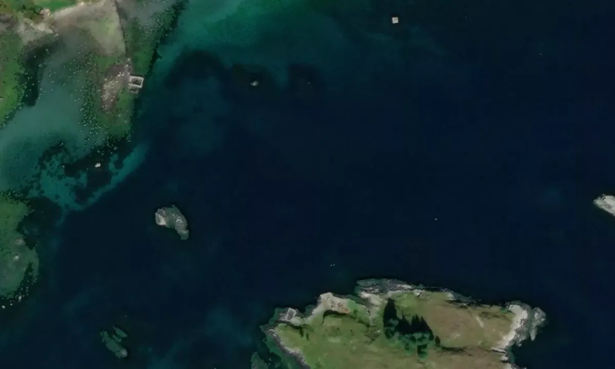 Satelite image of Borgunholmen