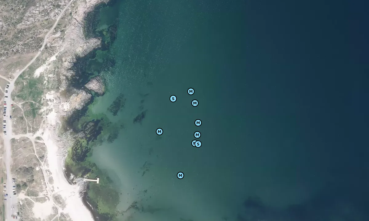 Satelite image of Bornholm - Åsand Bugt - Sandvig