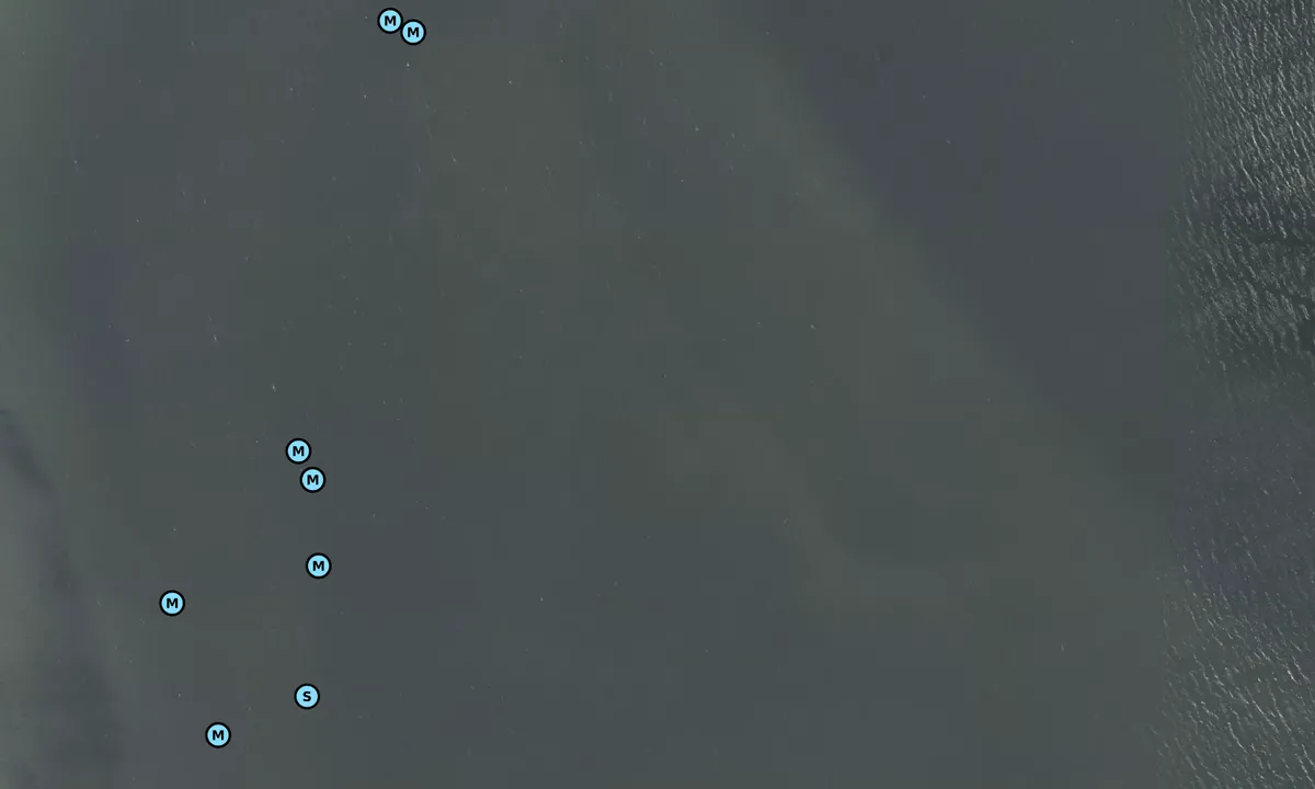 Satelite image of Borre Øst