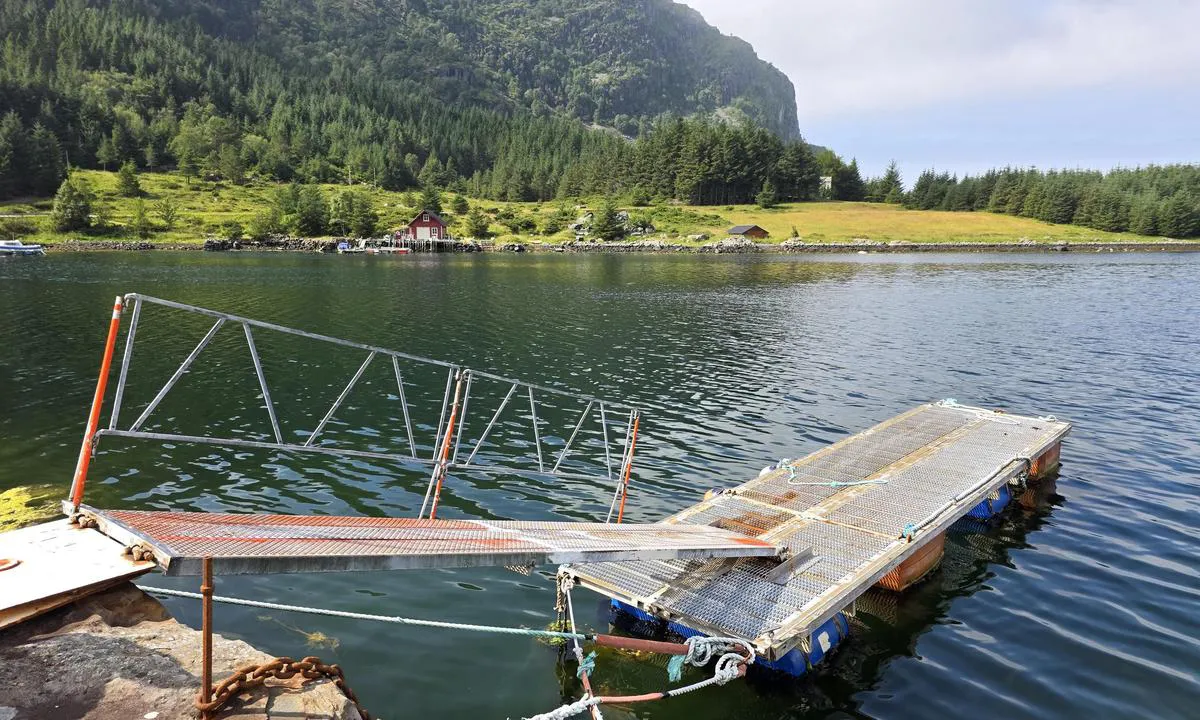 Botnane Havn: {"base": "no", "no": "Den \u00f8stlige/s\u00f8rlige brygga.", "se": "Den \u00f6stra/s\u00f6dra bryggan.", "en": "The eastern/southern pier.", "da": "Den \u00f8stlige/s\u00f8rlige bro.", "fr": "Le quai est/sud.", "de": "Der \u00f6stliche/s\u00fcdliche Kai.", "es": "El muelle oriental/sure\u00f1o.", "it": "Il molo est/sud.", "pt": "O cais oriental/sul.", "nl": "De oostelijke/zuidelijke steiger.", "pl": "Wschodni/po\u0142udniowy pomost.", "uk": "\u0421\u0445\u0456\u0434\u043d\u0438\u0439/\u043f\u0456\u0432\u0434\u0435\u043d\u043d\u0438\u0439 \u043f\u0440\u0438\u0447\u0430\u043b.", "ro": "Cheiul estic/sudic.", "tr": "Do\u011fu/g\u00fcney iskelesi.", "el": "\u0397 \u03b1\u03bd\u03b1\u03c4\u03bf\u03bb\u03b9\u03ba\u03ae/\u03bd\u03cc\u03c4\u03b9\u03b1 \u03b1\u03c0\u03bf\u03b2\u03ac\u03b8\u03c1\u03b1.", "cs": "V\u00fdchodn\u00ed/ji\u017en\u00ed molo.", "hu": "A keleti/d\u00e9li m\u00f3l\u00f3.", "fi": "It\u00e4inen/etel\u00e4inen laituri.", "bg": "\u0418\u0437\u0442\u043e\u0447\u043d\u0438\u044f\u0442/\u044e\u0436\u043d\u0438\u044f\u0442 \u043a\u0435\u0439.", "sr": "Isto\u010dni/ju\u017eni mol.", "et": "Ida/l\u00f5unakai.", "lv": "Austrumu/dienvidu piest\u0101tne.", "lt": "Rytinis/pietinis prieplaukos."}