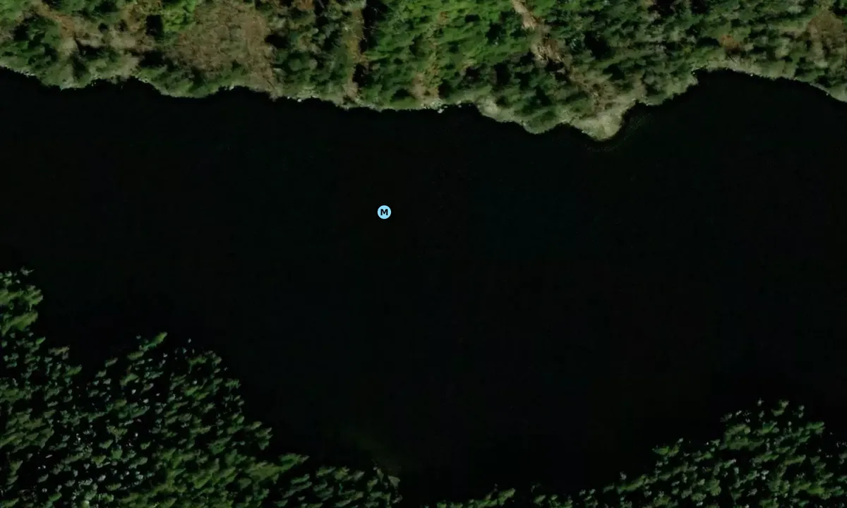 Satelite image of Bottleneck