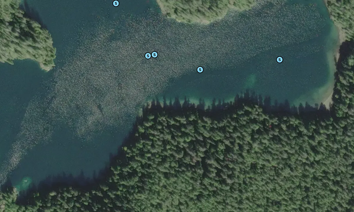Satelite image of Bottleneck Bay