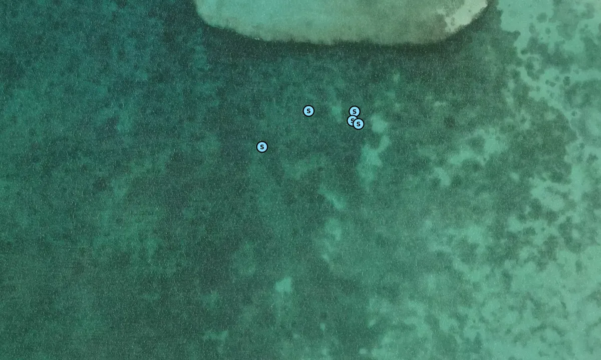 Satelite image of Bottom Harbour