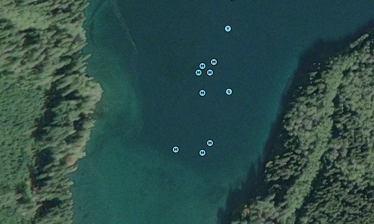 Satelite image of Boughey Bay