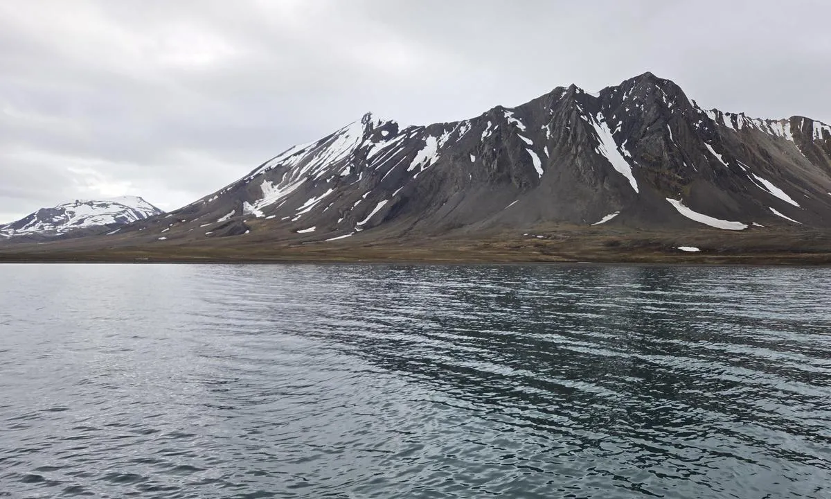 Bourbonhamna: Det er en liten terskelen i havna.

Klippekammen mot øst gir vindsjerming også. 
Kammen mot vest gir vindskjerming.
Åpen havn mot nord.
Forbausende god bølgedempning mot øst - lenger inn i fjorden.
Godt ankerfeste til Svalbard å være.
Det er ikke optimal plass for flere båter.