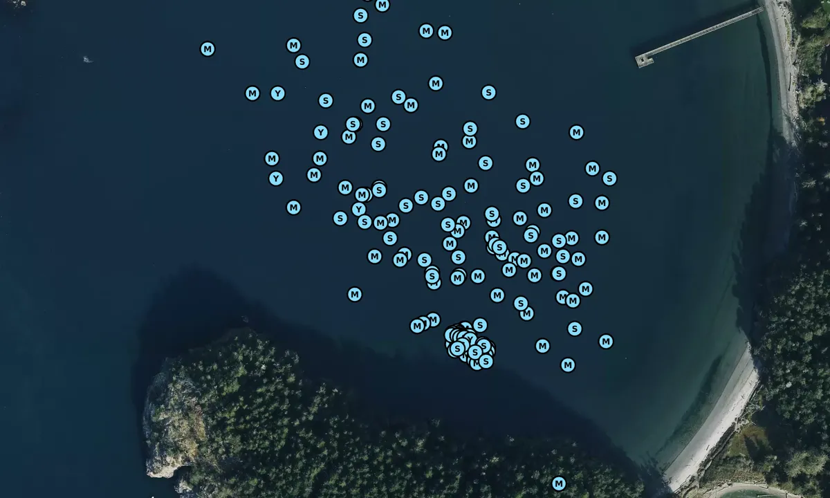 Satelite image of Bowman Bay