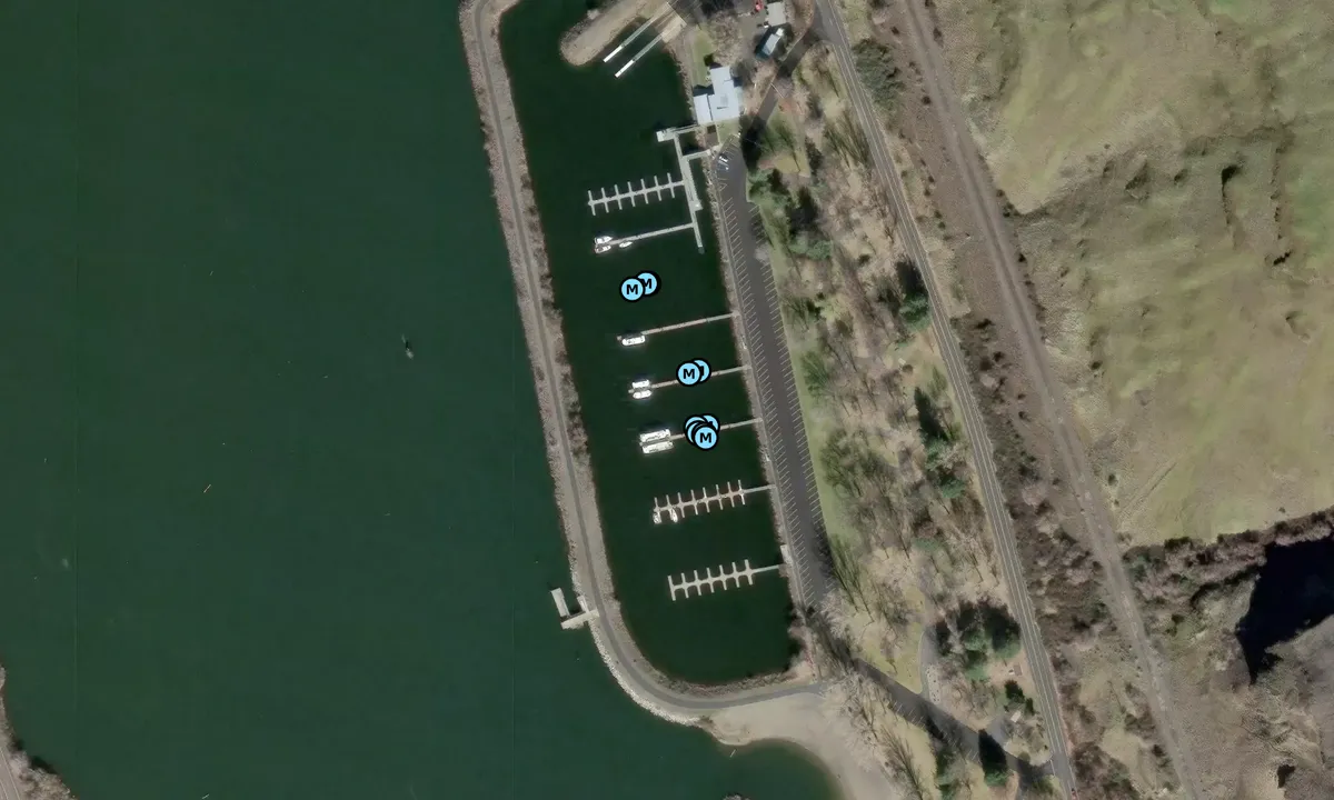 Satelite image of Boyer Park and Marina