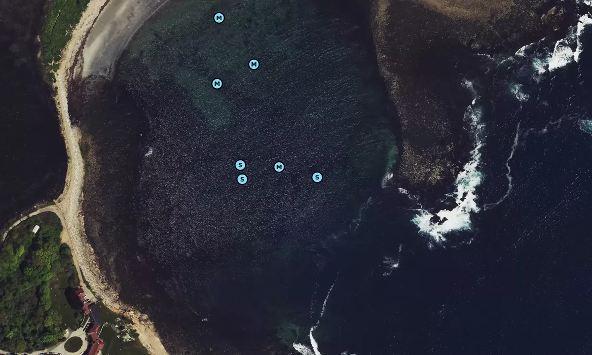 Satelite image of Brace Cove