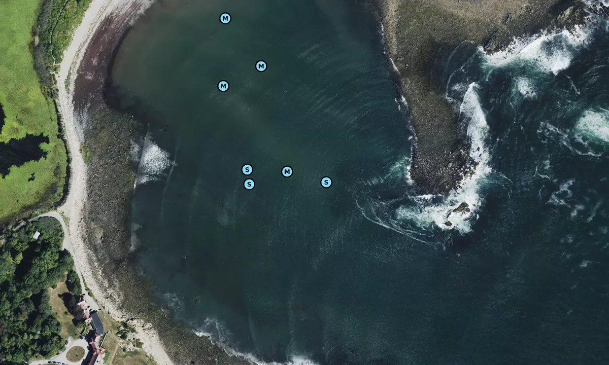 Satelite image of Brace Cove