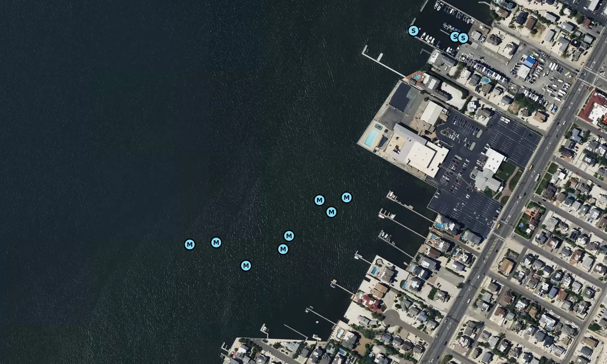Satelite image of Brant Beach