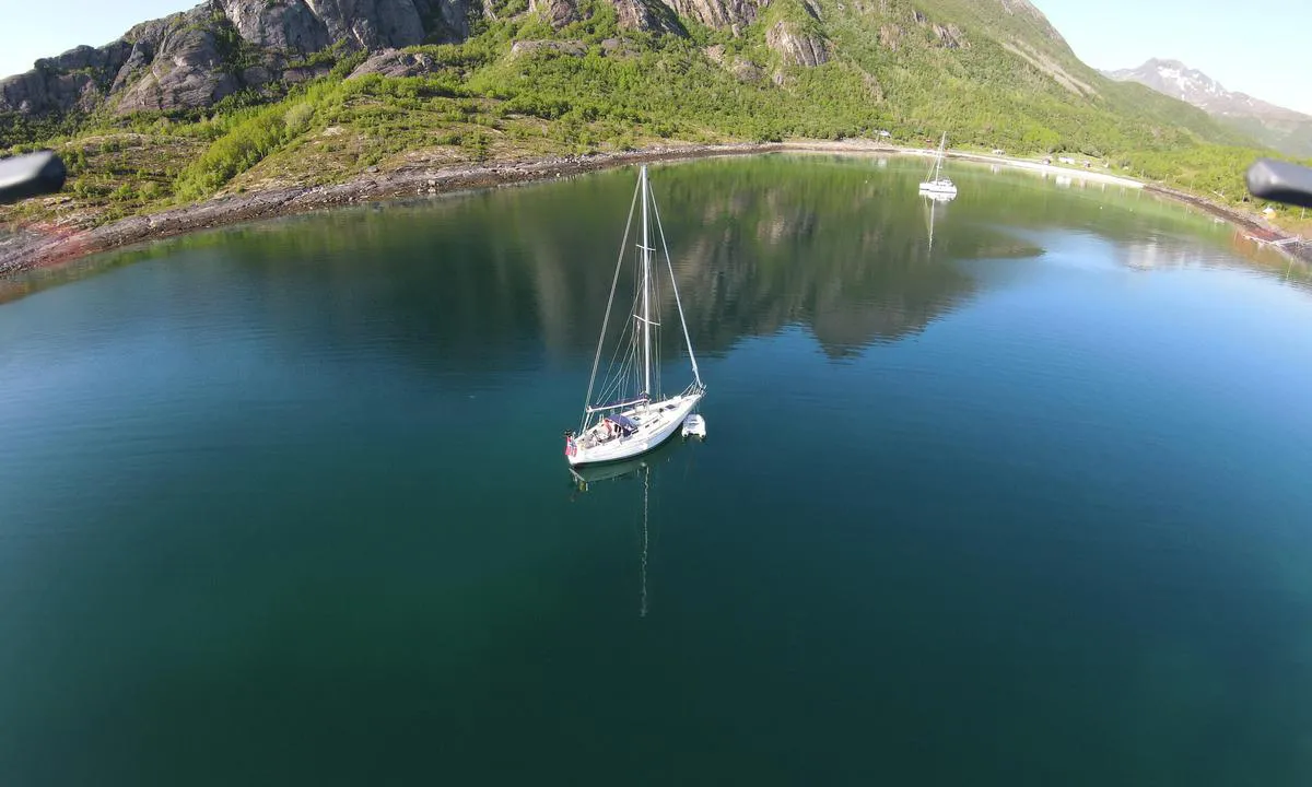 Breidvika