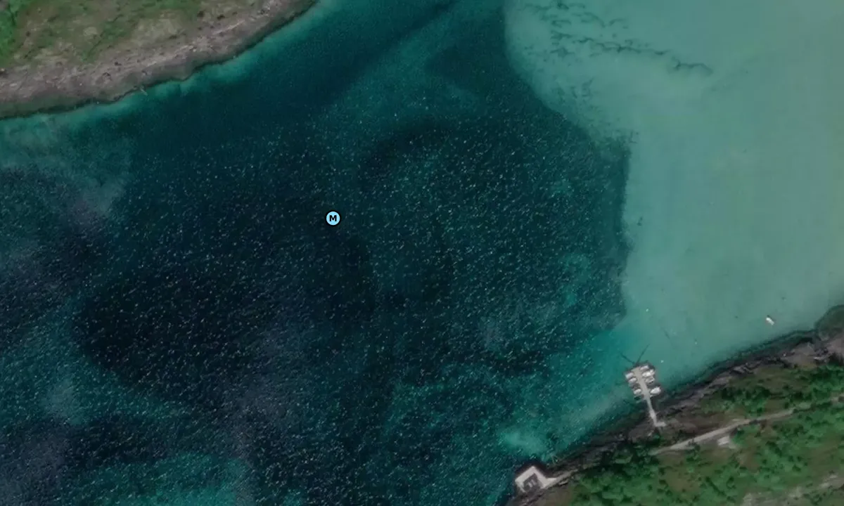 Satelite image of Breidvika