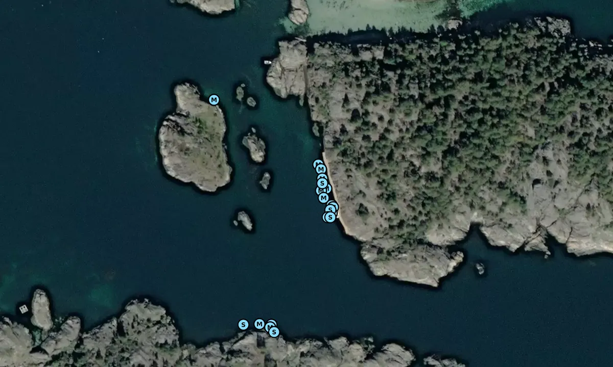 Satelite image of Brennholmen - Risor