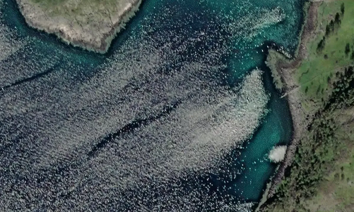 Satelite image of Bresja