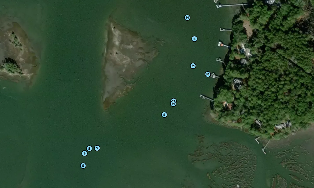 Satelite image of Brickyard Creek - 1