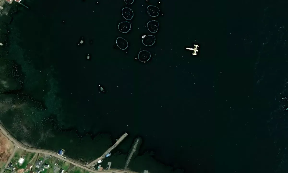 Satelite image of Brier Island