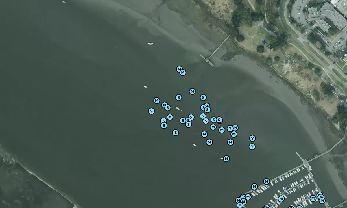 Satelite image of Brittlebank Park