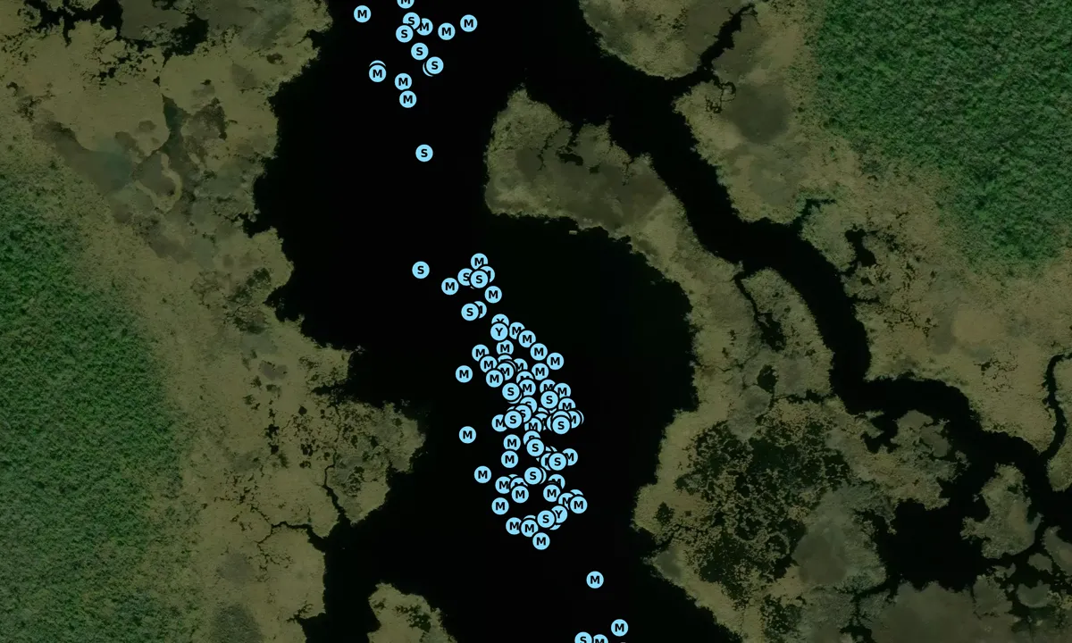 Satelite image of Broad Creek - 1