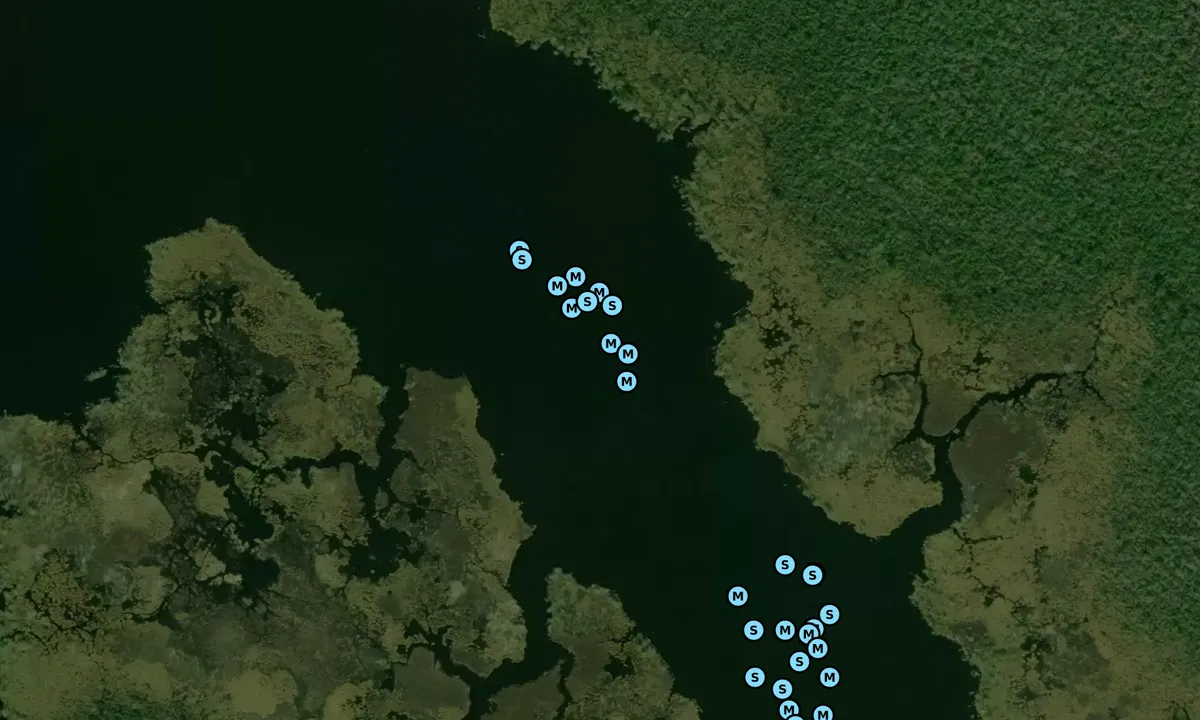 Satelite image of Broad Creek - 2 1
