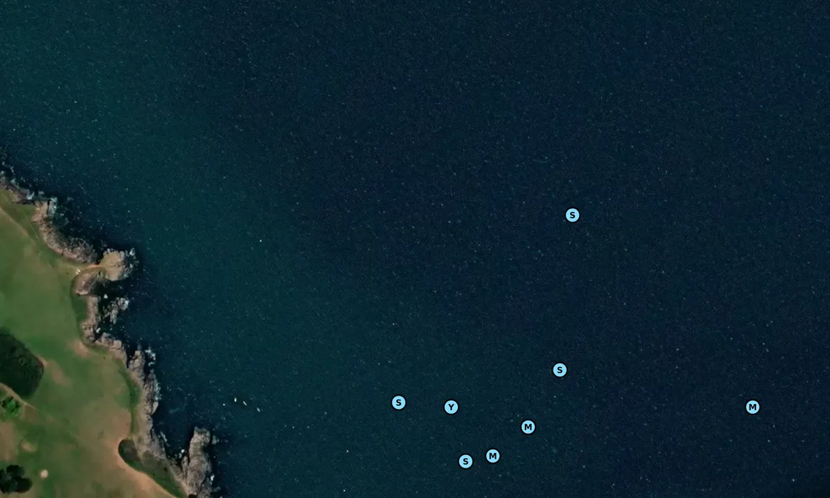 Satelite image of Broadsands beach
