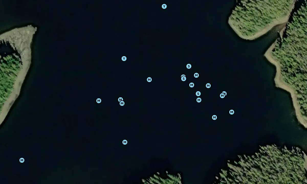 Satelite image of Brundige Inlet - Head