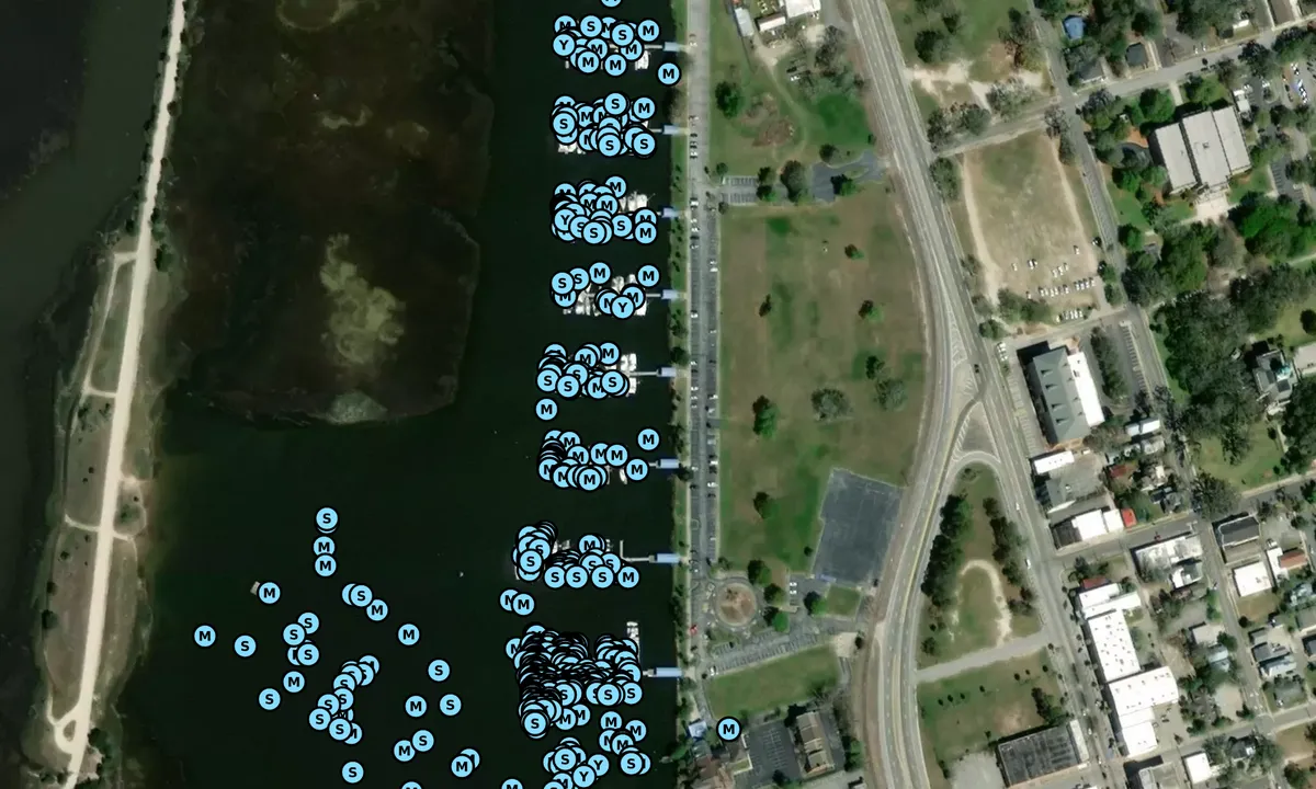 Satelite image of Brunswick Landing Marina