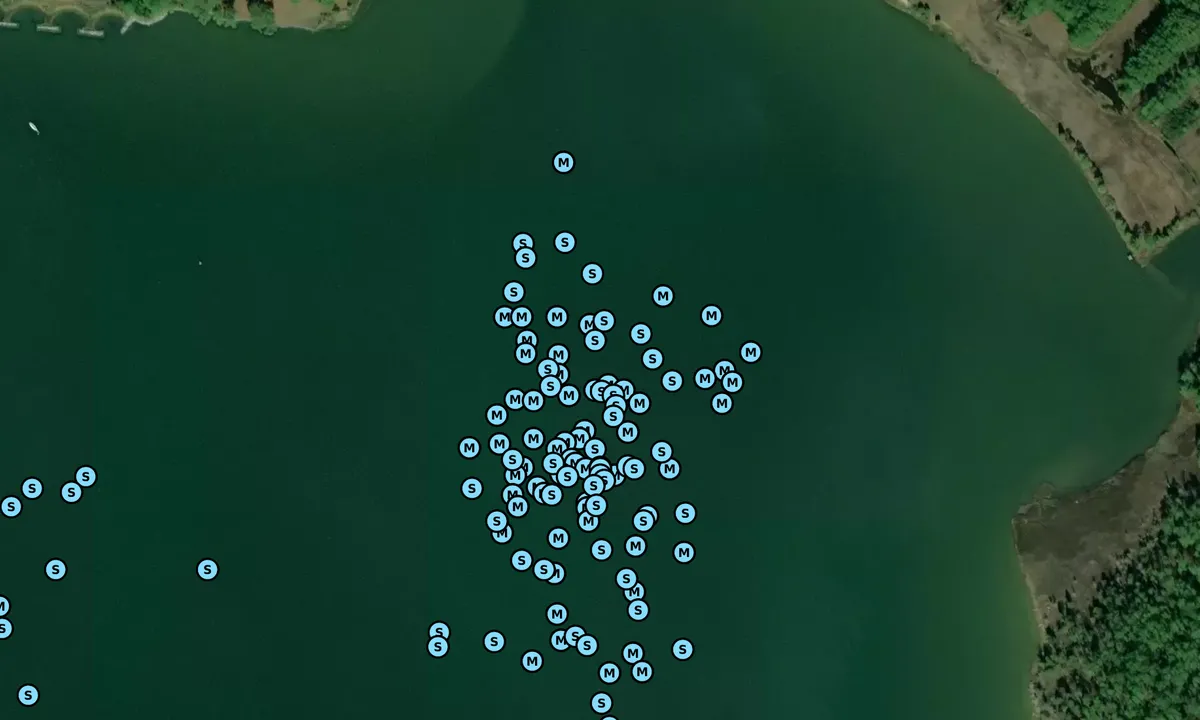 Satelite image of Bryant Bay - 1