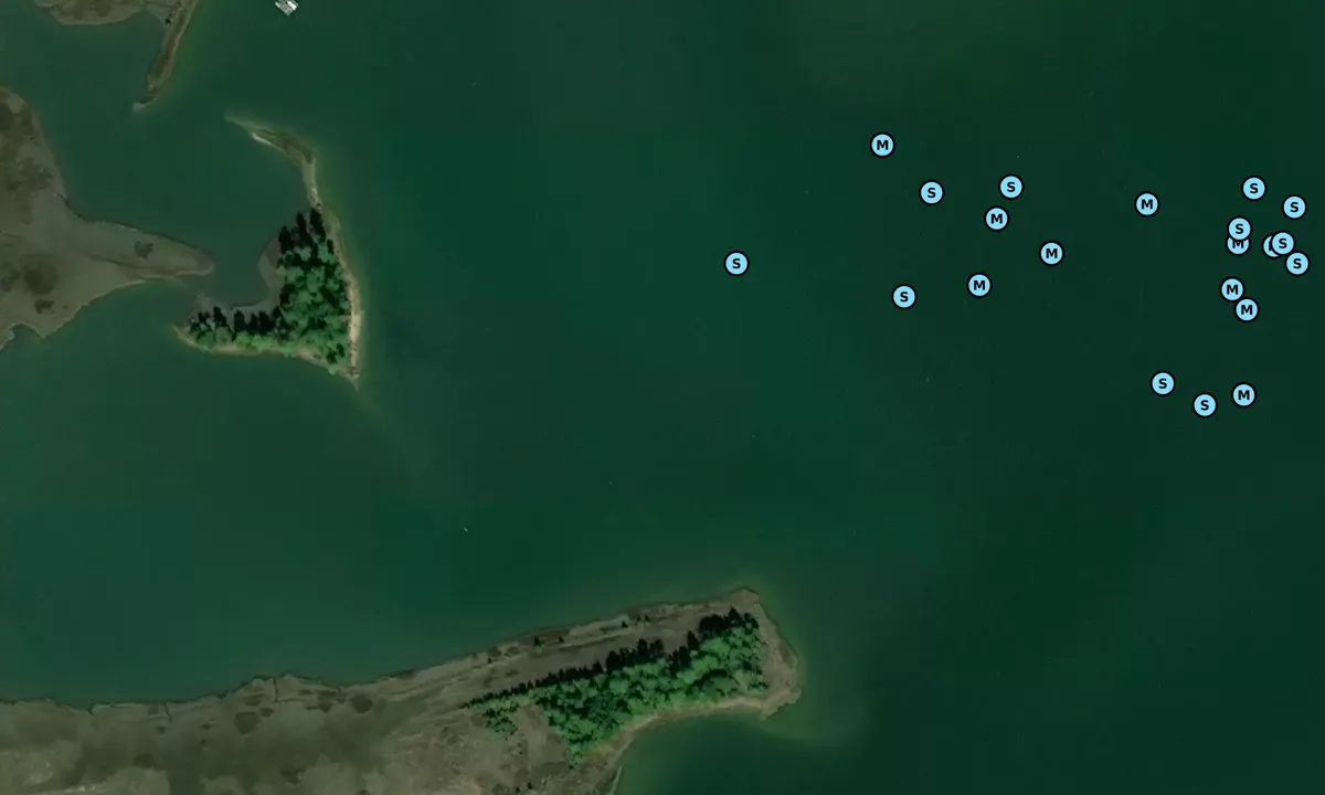 Satelite image of Bryant Bay - 2