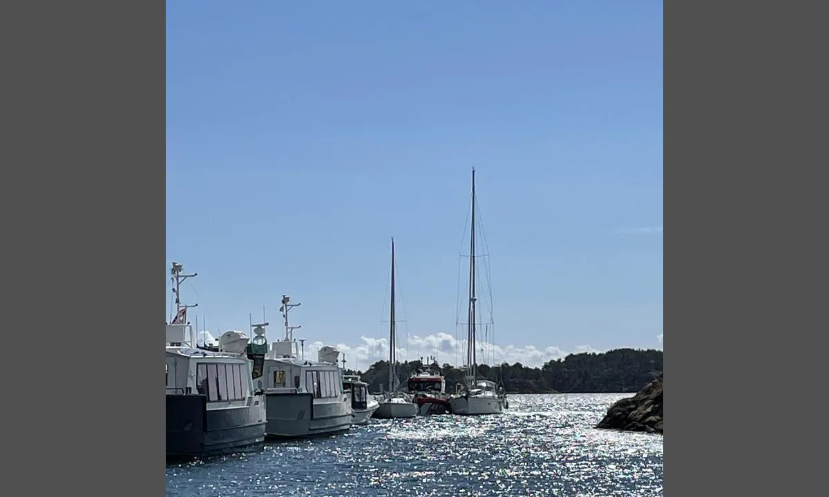 Brygga resturant Skottevik