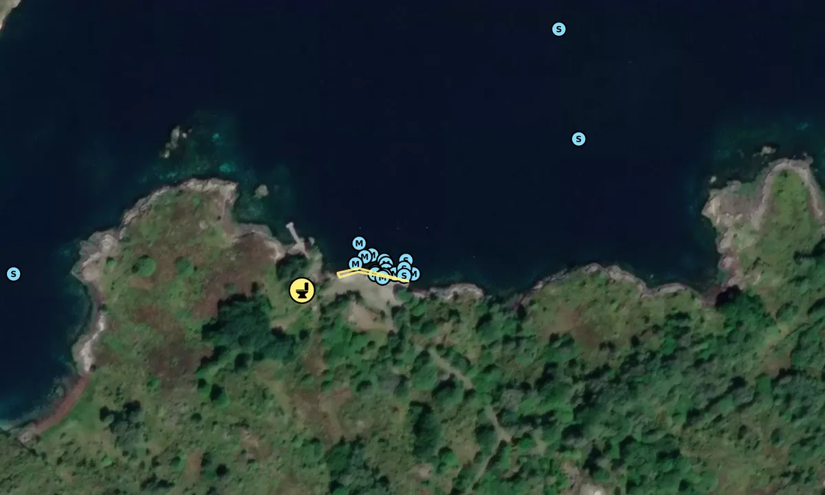 Satelite image of Buarøya