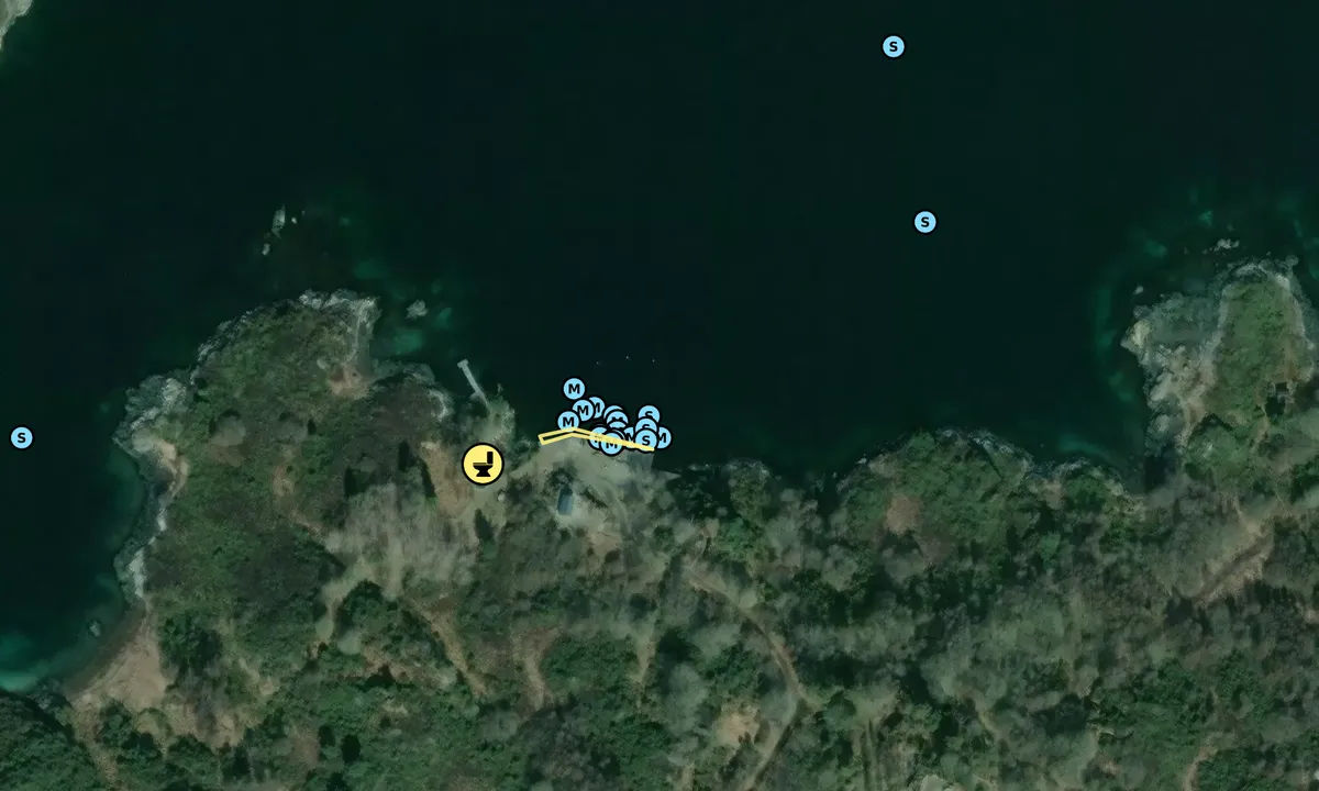 Satelite image of Buarøya