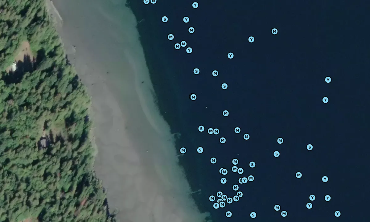 Satelite image of Bucaneer Bay