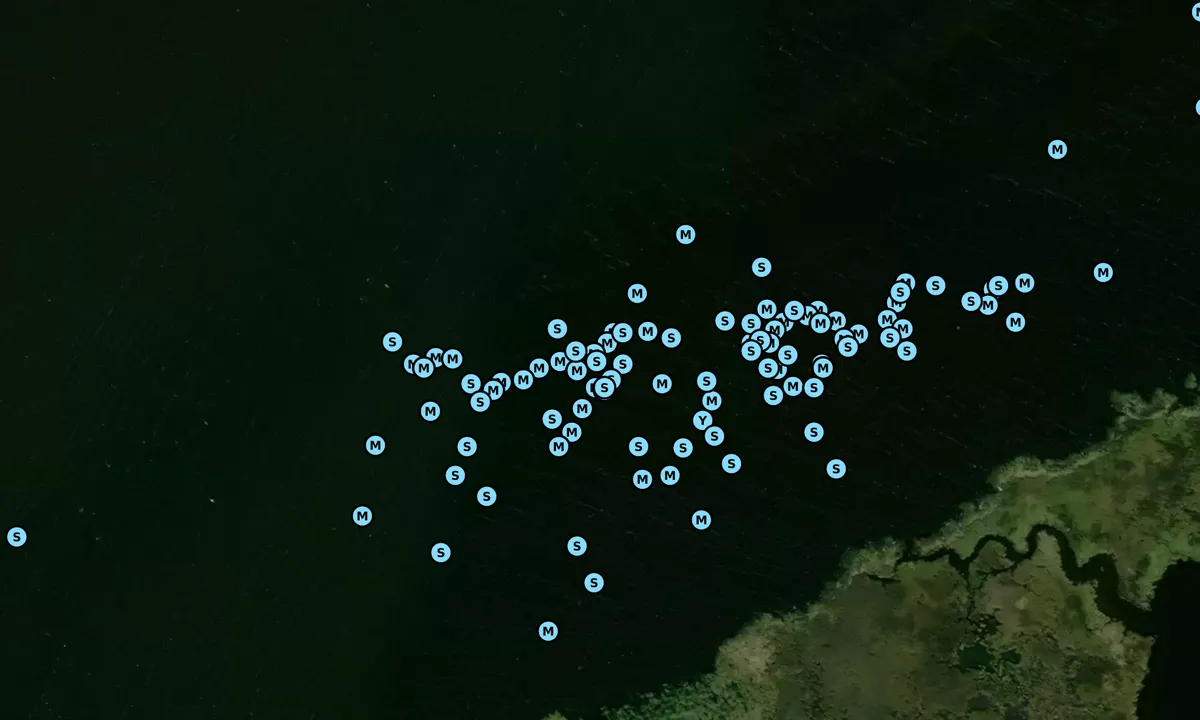 Satelite image of Buck Island - Aydlett