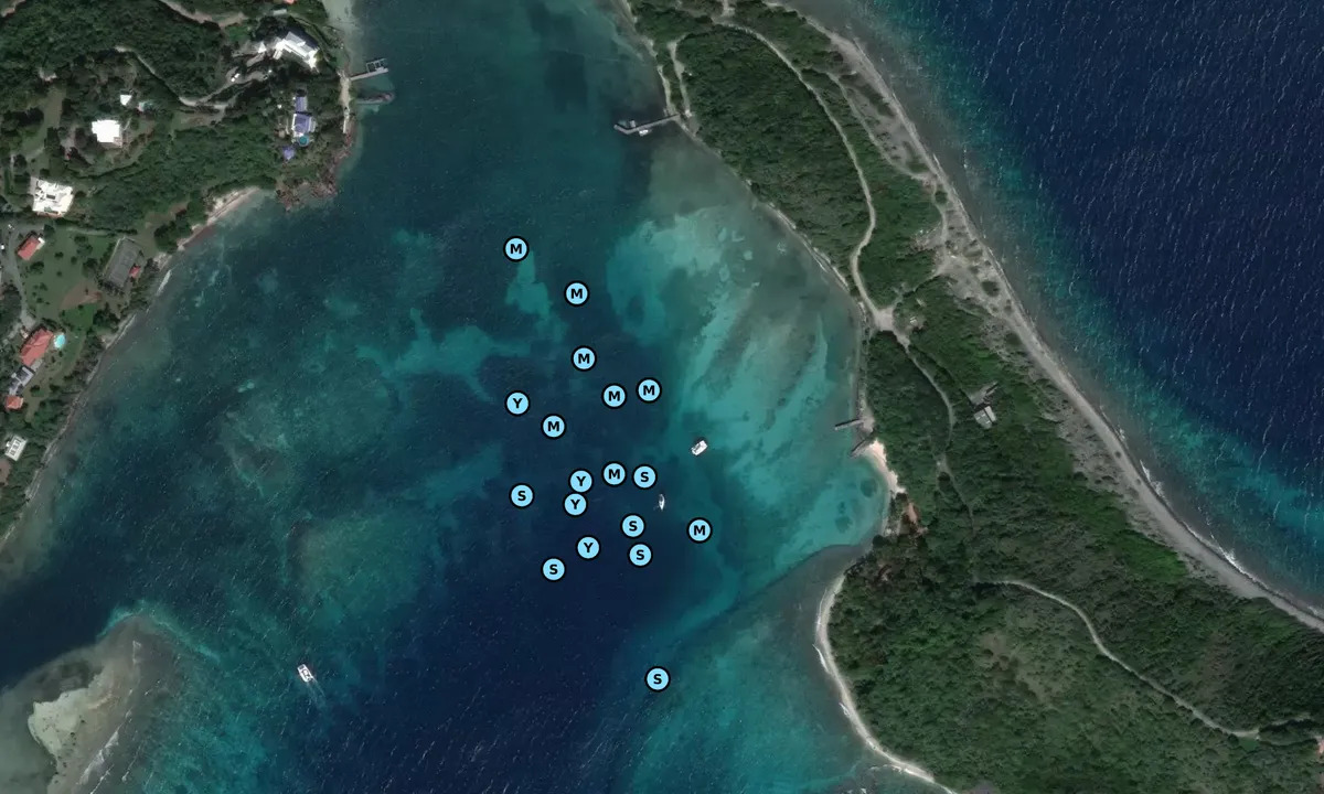 Satelite image of Buck Island - Parham Town