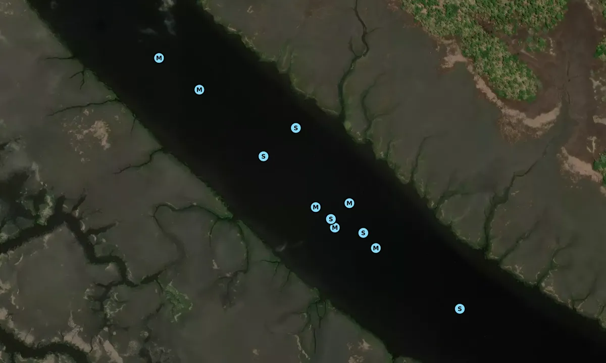 Satelite image of Buckhead Creek - 2