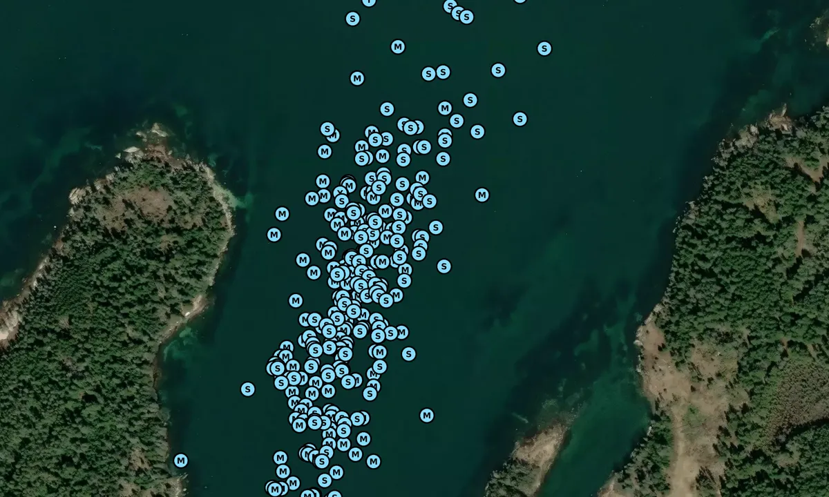 Satelite image of Buckle Harbor