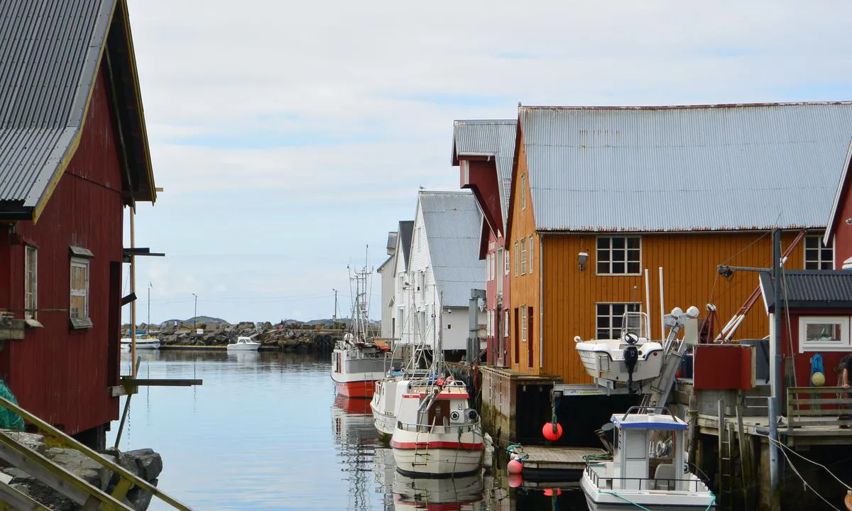 Det er et maritimt miljø i Bud.