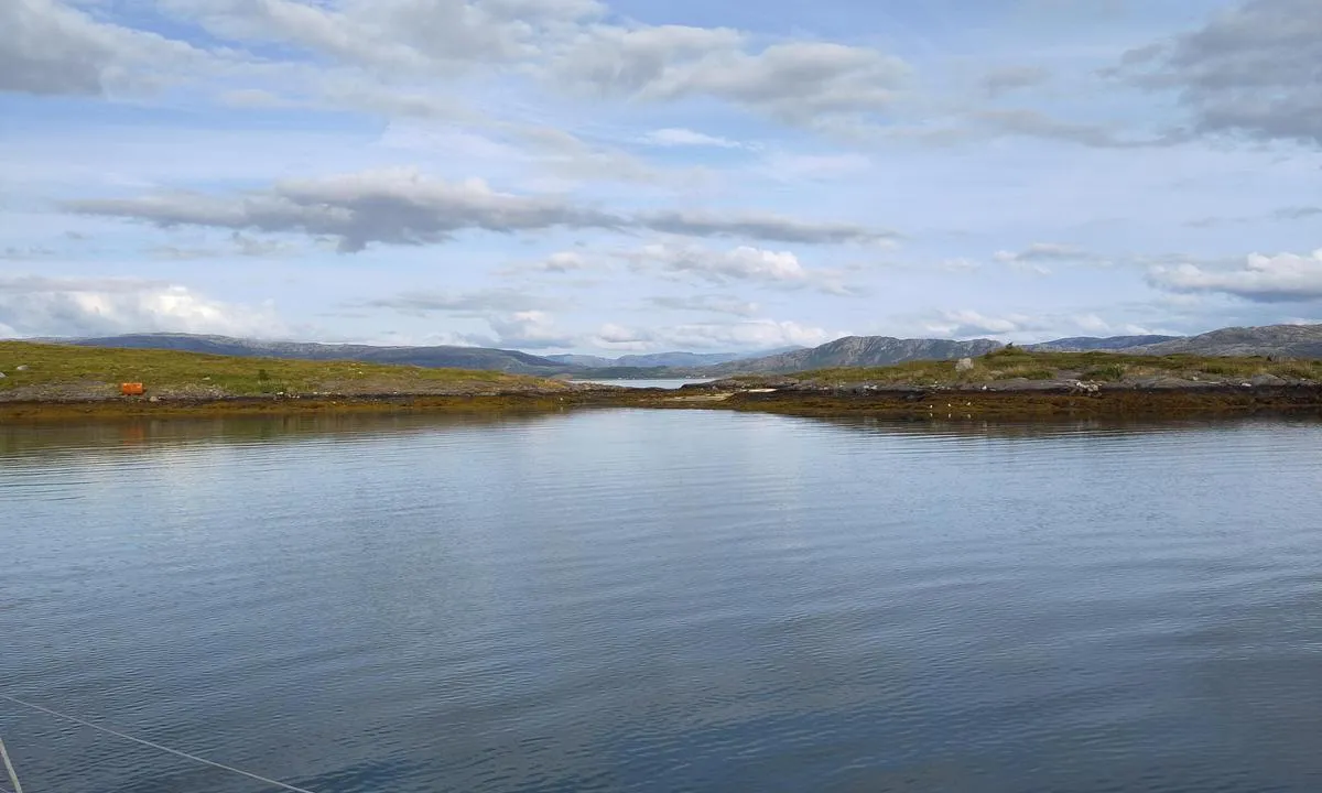 Bukkholmen - Vågøya: To the East.