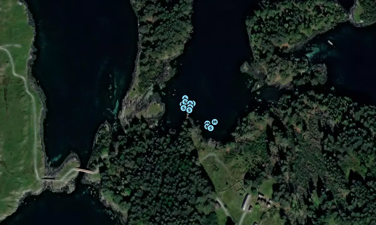 Satelite image of Bukkøya - Prestøya