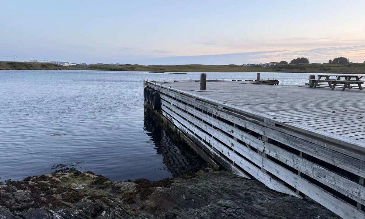 Bukkøys