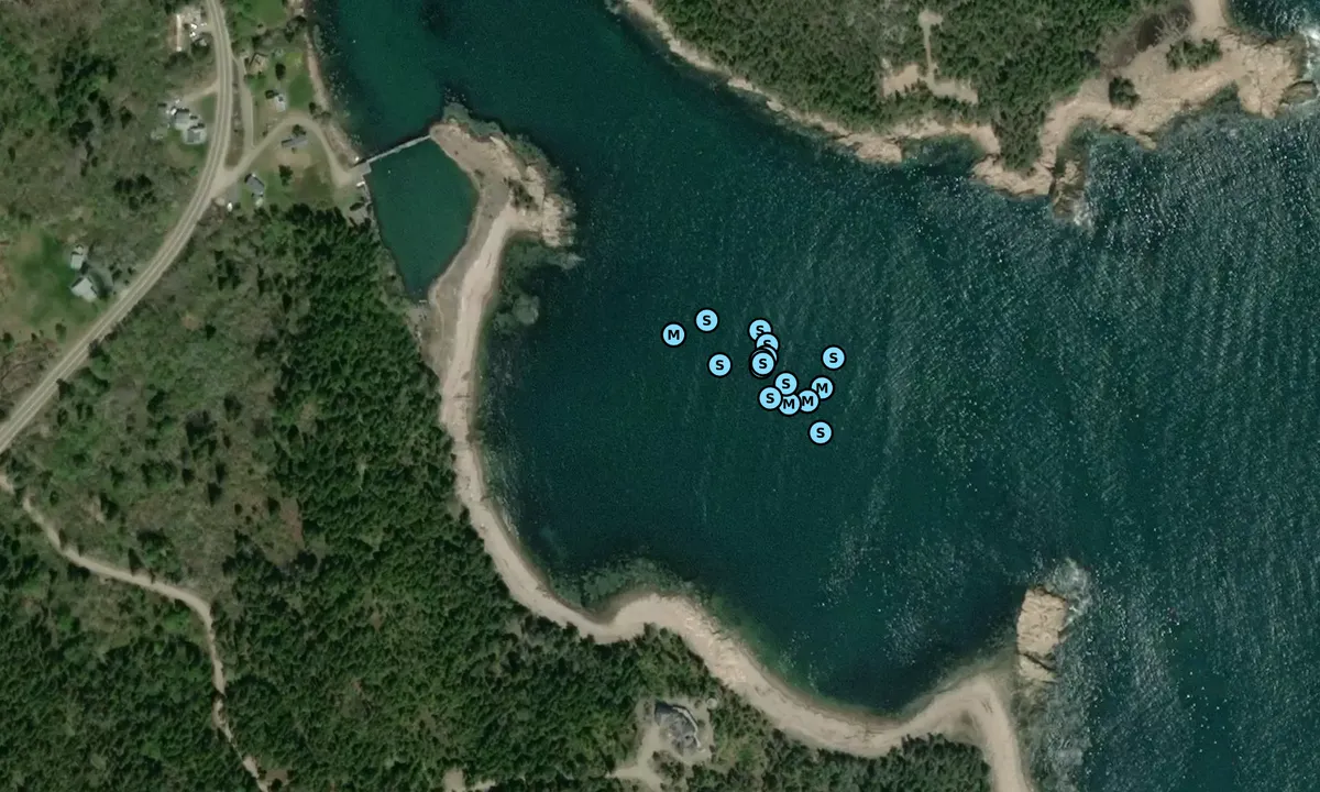 Satelite image of Bunker Cove - Gouldsboro