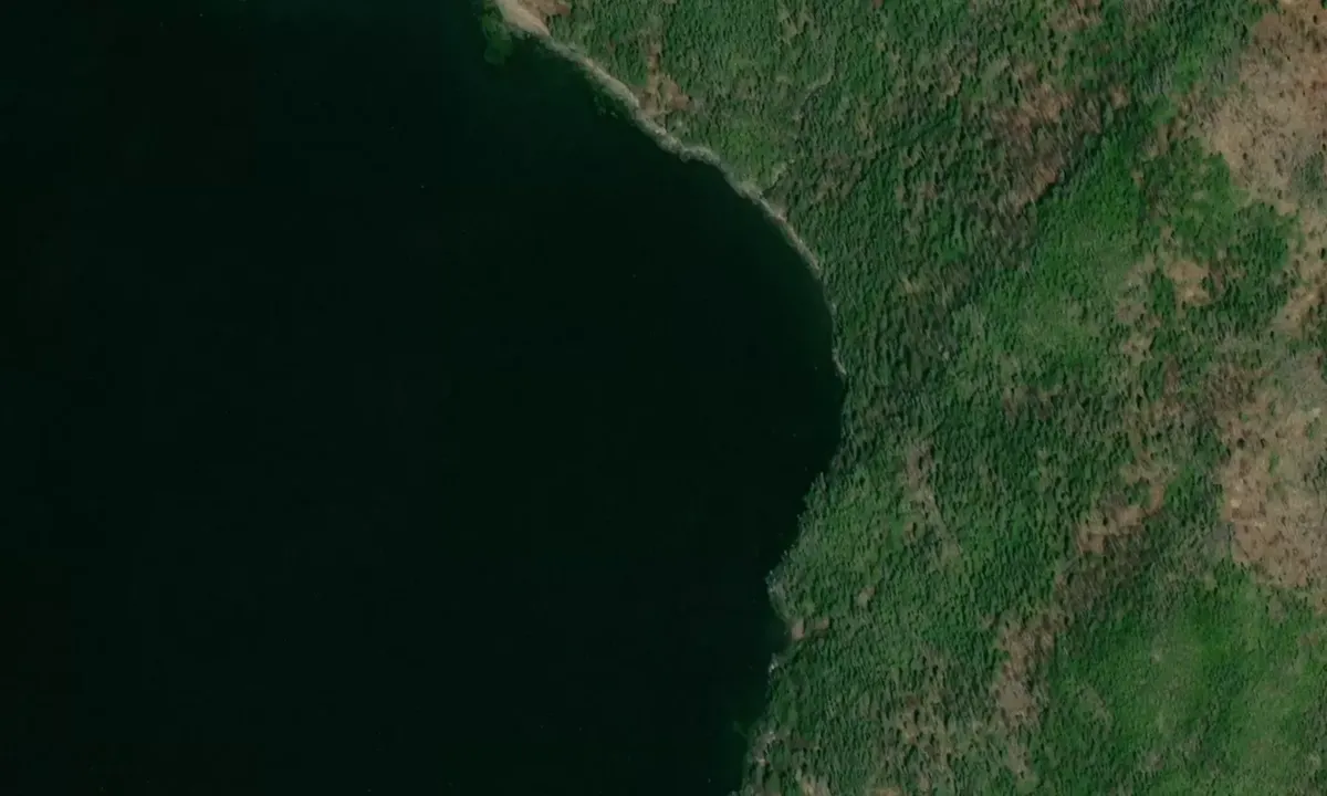 Satelite image of Burdens Cove