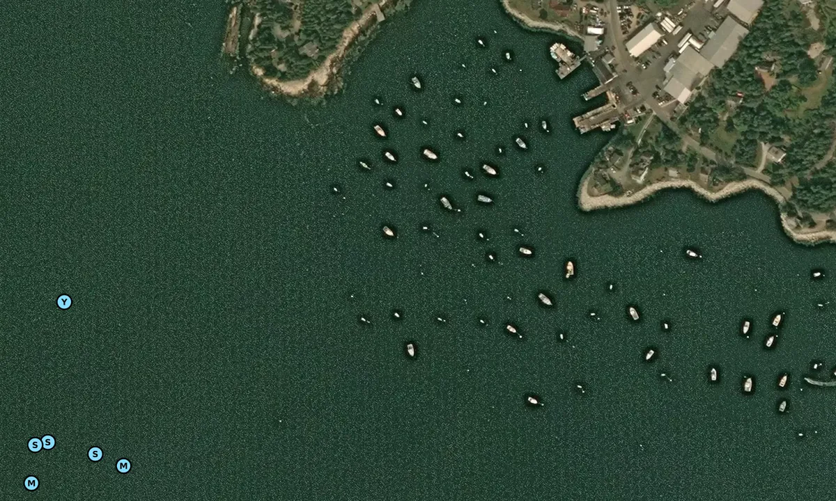 Satelite image of Burnt Island