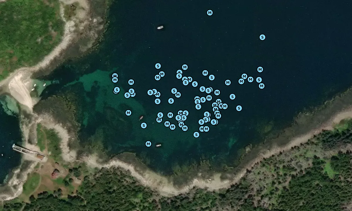 Satelite image of Burnt Island - Saint George
